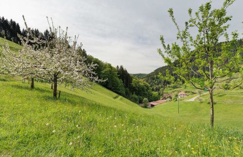 Holderstanzenhof - Foto 22
