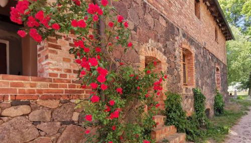 Apartment Wohnung in Haselberg mit Großem Garten by Interhome - Foto 5