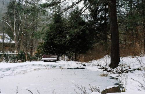 Hot Tub, Wood-burning Fireplace and 4 acres of Forest in Margaretville - Foto 30