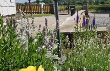 Ferienhaus Polly - Keine Monteure - Foto 22