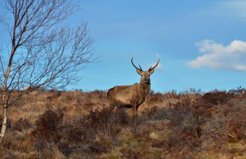 The Bridge Suite - Photo 22