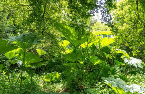 Ta Mill Cottages & Lodges - Pump Cottage - Foto 41