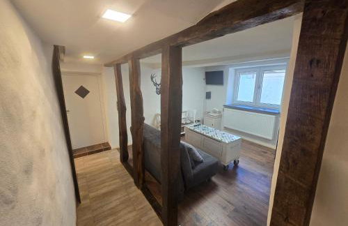 Zauberhafte Wohnung in der Nähe von Heidelberg, top Lage - Foto 5