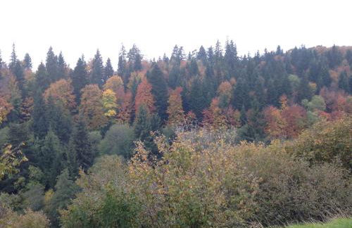 La Vue sur le Paradis - Foto 9