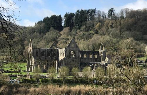 Sunnyview Annexe - Photo 27