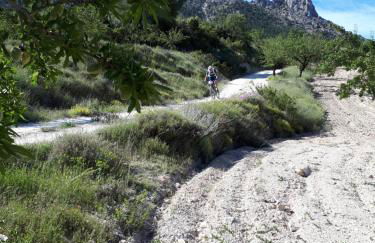 Cortijo Blanco - Foto 34