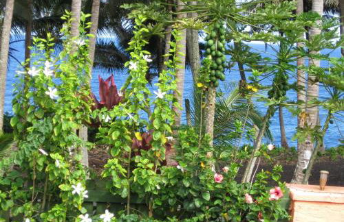 Oceanfront Cottage Near the Kalapana Lava Flows - Foto 17