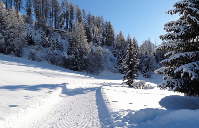 Ferienwohnung Chasa Quadra - Foto 14