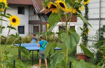 Haus mit stilvoller Ferienwohnung und Tiny House nahe Ammersee für 2-6 Personen - Foto 7