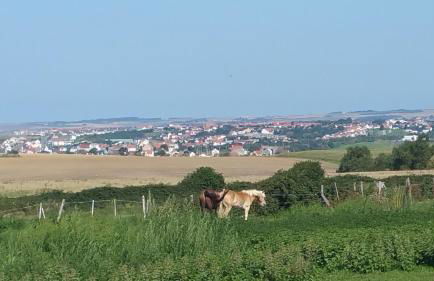 Souali de L'îlot espace de quiétude - Foto 8