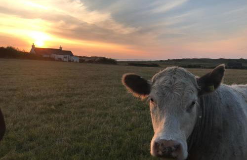 Bayview Cottage, Dunnetbay accommodation - Foto 18