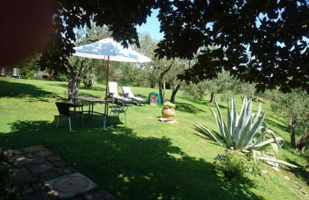 La Sassaia - Foto 12