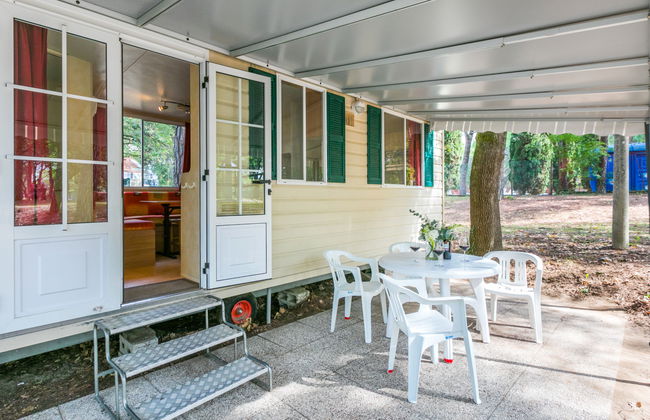 Green Holiday (GDO201) - Foto 20