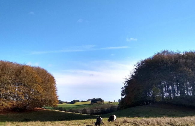 4 Person Holiday Home in Ostervra - Foto 7