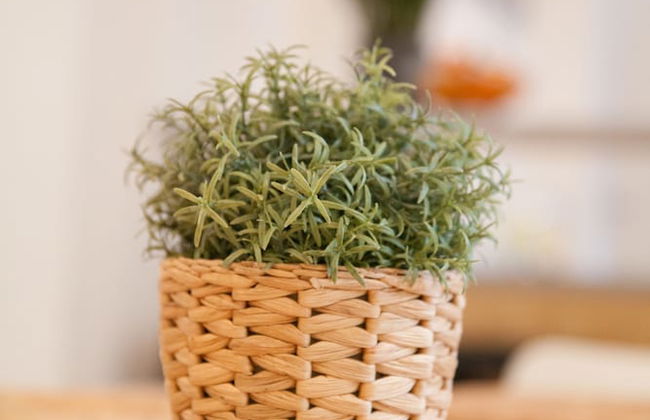 Heidelberg APHEARTMENTS - Foto 30