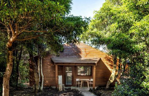 Alma do Pico - Nature Residence - Photo 9