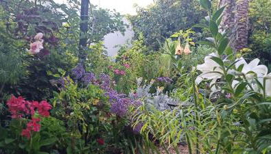 Casa Flora Garden Studio (Gite) - Foto 5, Garden view