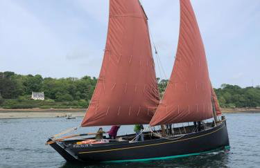 Les écolodges Sous Le Phare - Foto 27