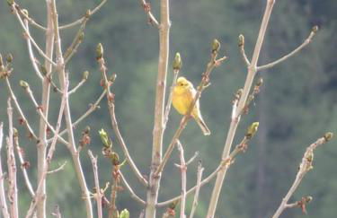 Studio en rez de chaussée, avec jardin partagé. - Foto 22