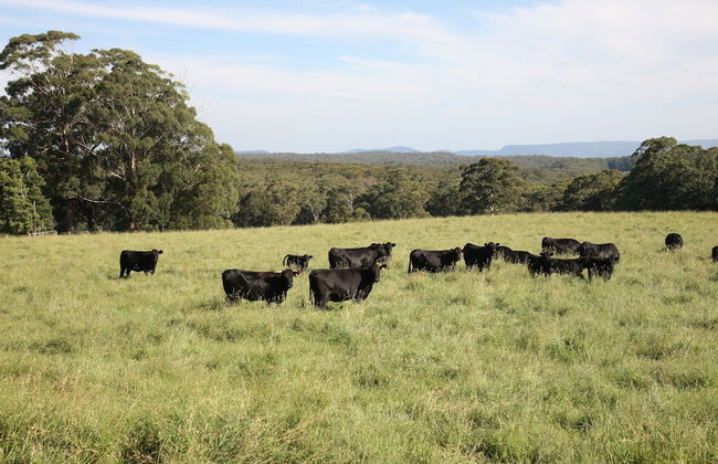 Linden Hall - Foto 28