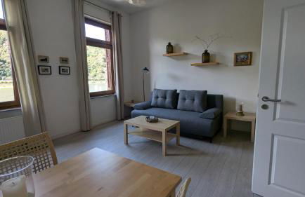 Rheinsteig-Ferienwohnungen 5 Apartments - Foto 35