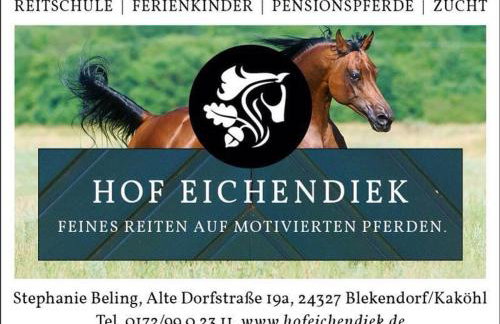 Hof Eichendiek Time Out Village - Foto 43