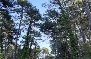 Sunset Valley - A Tuscan Experience - Foto 64