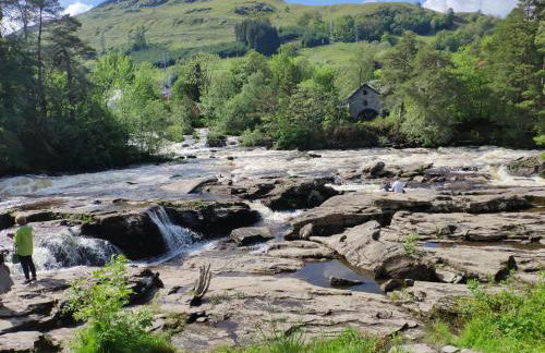 Craiglea Thistle - Foto 11