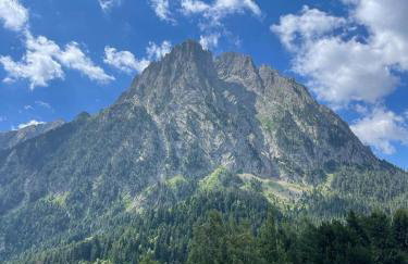 Apartament Rural Burg - Foto 37