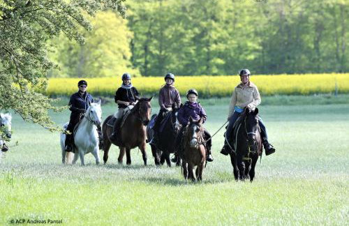 Ferienhaus 3 Zi im ART.Quartier - Foto 20