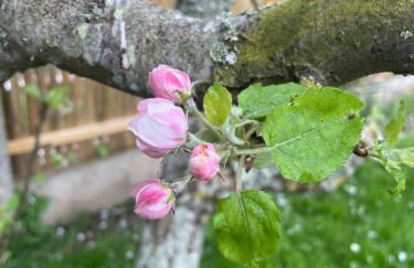 Studio proche parc expo et aéroport - Foto 6