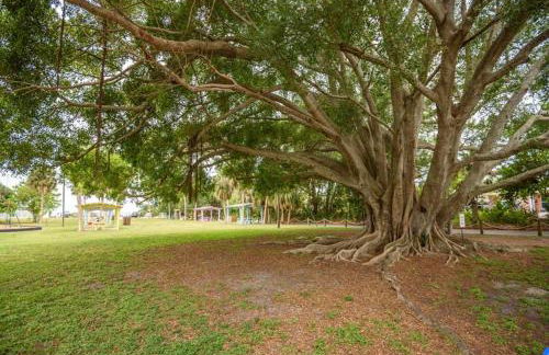 Florida Gaucho Ranch - Foto 10