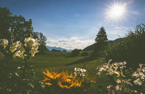 Fritzis Alpenidyll „Sommertraum & Winterromantik” - Foto 24