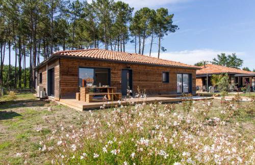 Maison Gemme a Landes - Foto 3