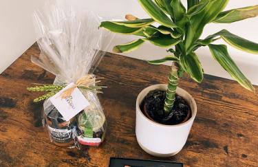 Casa Amodiño - Foto 41