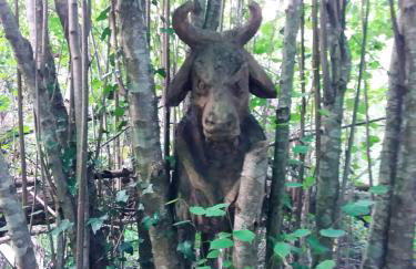 L'Orchidée - Photo 12