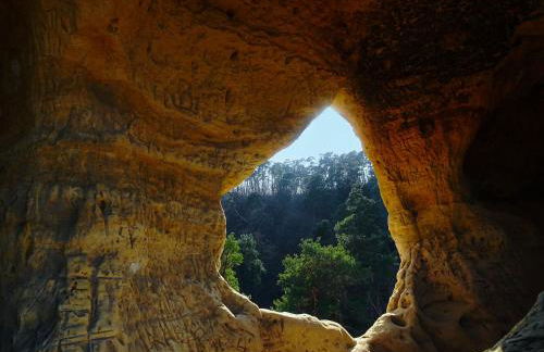 Hasselhäuser Hasselhaus 4 - Foto 20