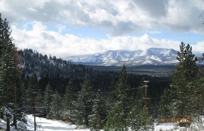 4017 Saddle Road - Photo 12