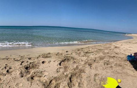 Salento Villa Cice, AC - WiFi - BBQ - attrezzatura da spiaggia - parcheggio privato sorvegliato, Due unità abitative indipendenti e giardino a due passi dal mare - Torre Ovo - Foto 74