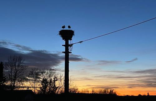 Ferienwohnung am Storchennest - Foto 12