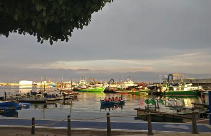 Residencial Colibrí - Photo 42