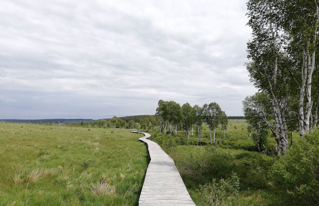 Family Home in Sourbrodt - Foto 39