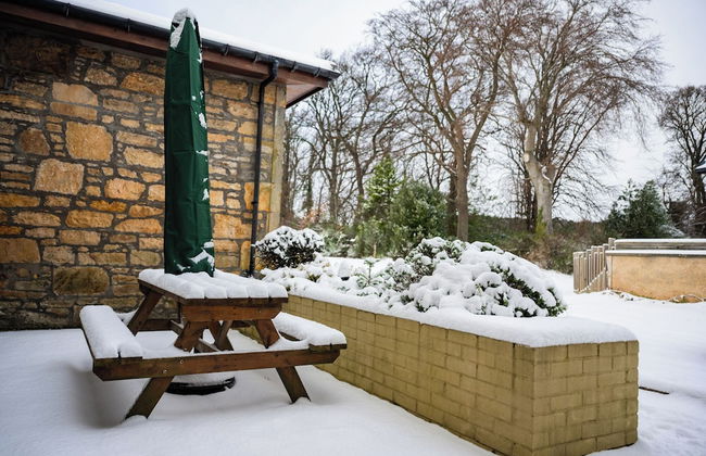 Darwin Cottage Self Catering in Elgin - Foto 27