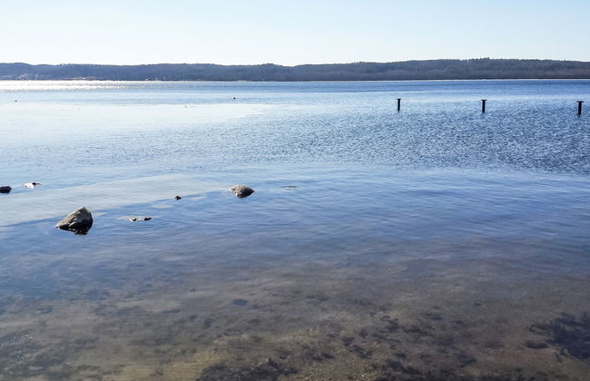 Jeżynowa - Photo 38