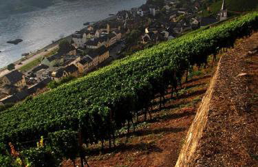 Auszeit Rheingauer Rosengasse - Photo 34