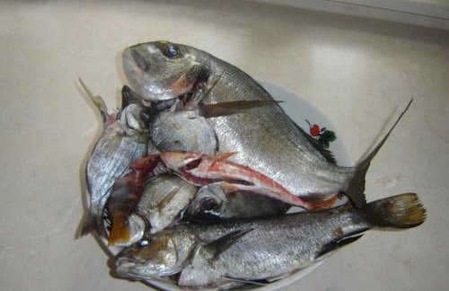 Apartment Josip - Foto 9