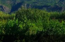 Casa huerta lola - Foto 9