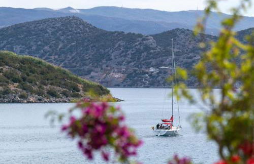 Grand Bleu Apartments & Villas - Photo 66