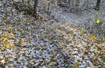 Gästehaus zum Rosengarten - Photo 65