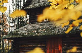 Chatka w lesie - Foto 18